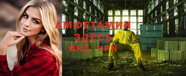 сатива Надым