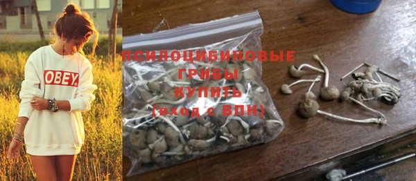 MDMA Premium VHQ Нея
