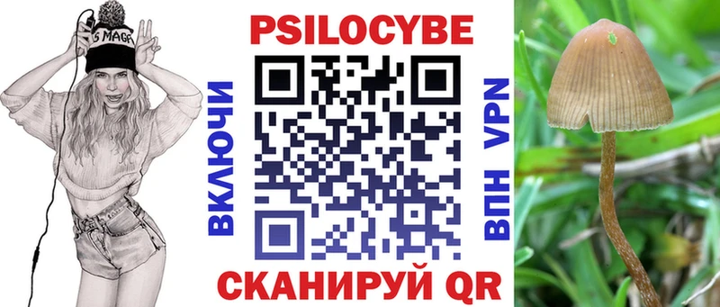 Псилоцибиновые грибы MAGIC MUSHROOMS  Заозёрный 